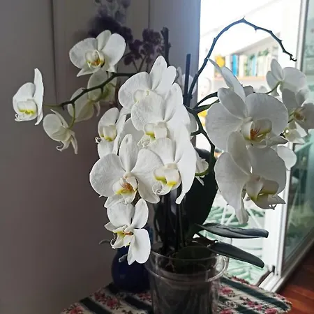 Atico Acogedor En Casco Antiguo