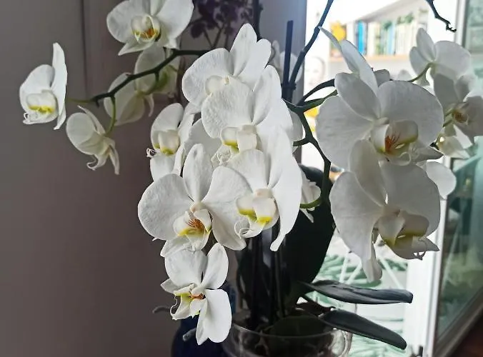 Atico Acogedor En Casco Antiguo