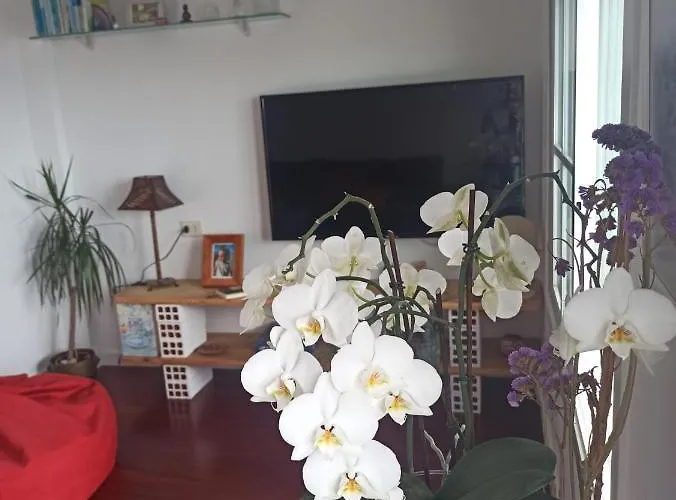 Atico Acogedor En Casco Antiguo Cangas do Morrazo